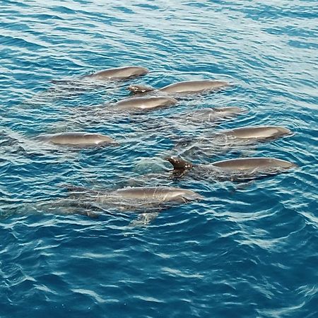 Atauro Dive Resort Beloi Kültér fotó