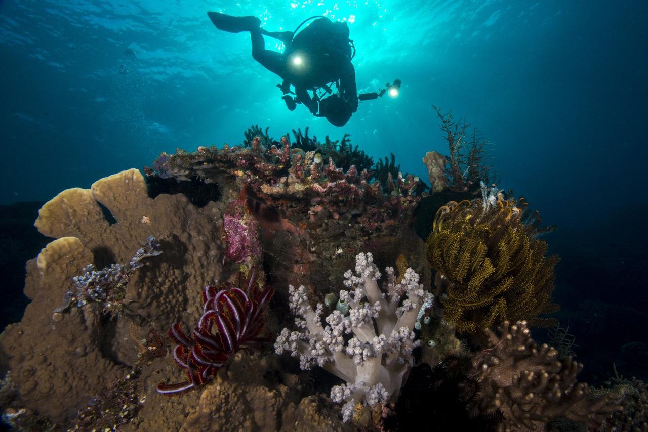 Atauro Dive Resort Beloi Kültér fotó